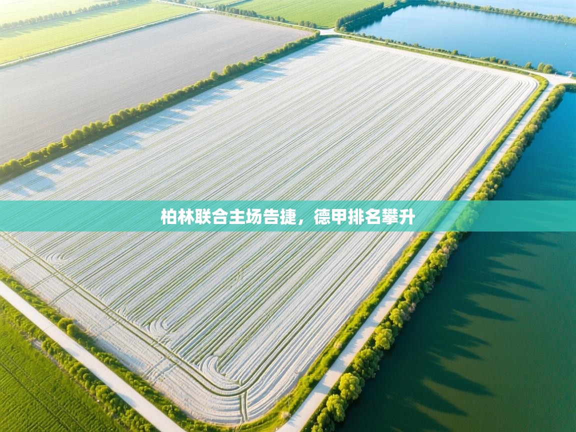 柏林联合主场告捷,德甲排名攀升 第1张