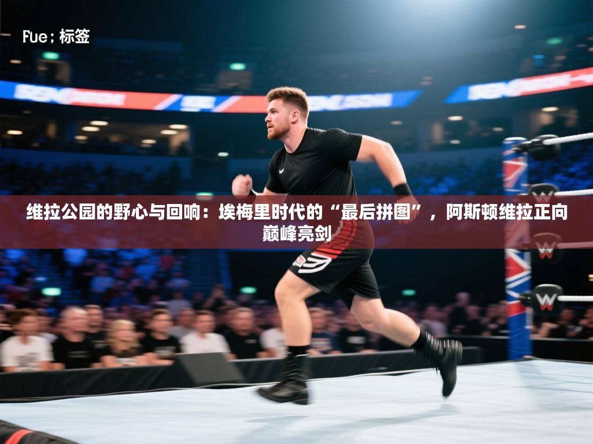 维拉公园的野心与回响：埃梅里时代的“最后拼图”，阿斯顿维拉正向巅峰亮剑  第1张