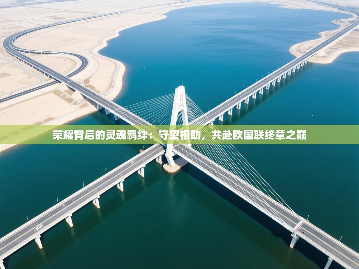 荣耀背后的灵魂羁绊：守望相助，共赴欧国联终章之巅  第2张