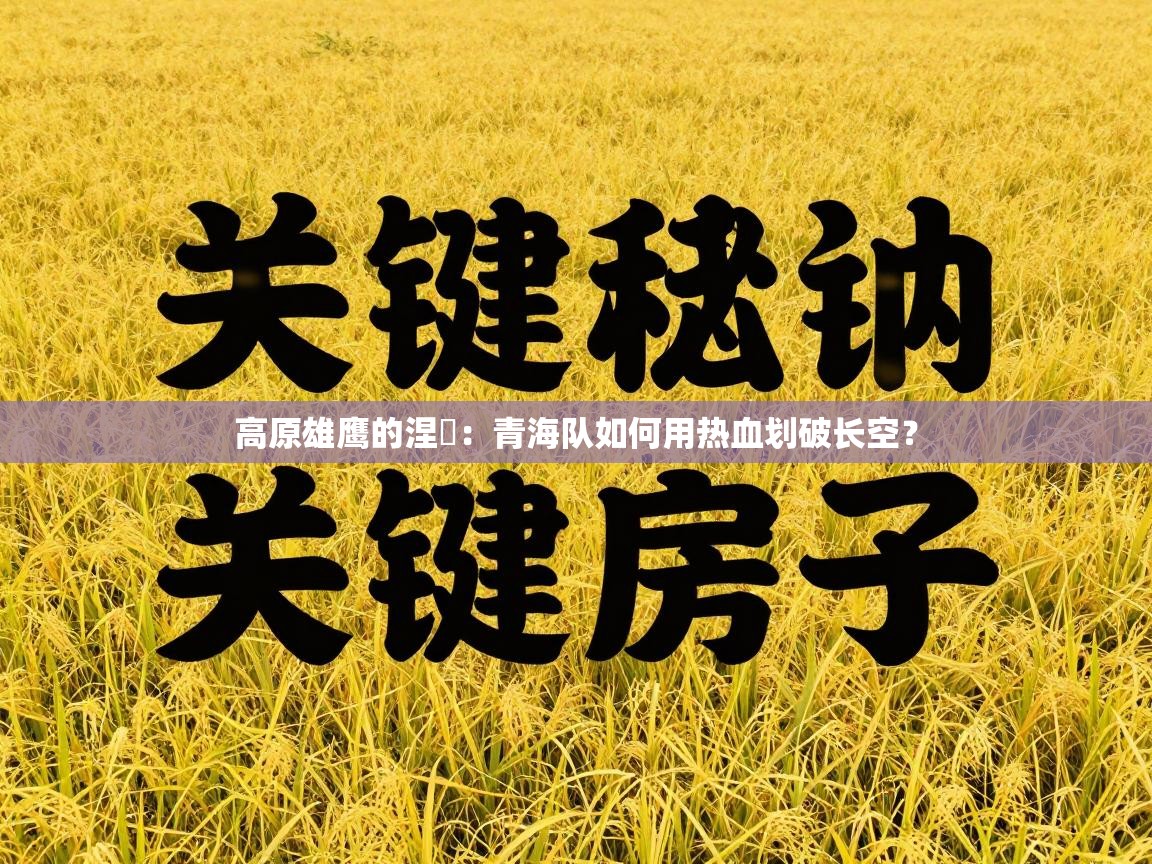 高原雄鹰的涅槃：青海队如何用热血划破长空？  第1张