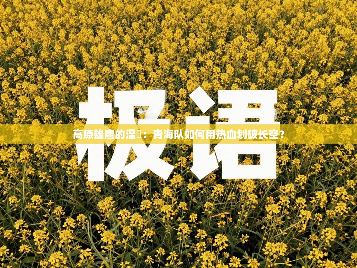 高原雄鹰的涅槃：青海队如何用热血划破长空？  第2张