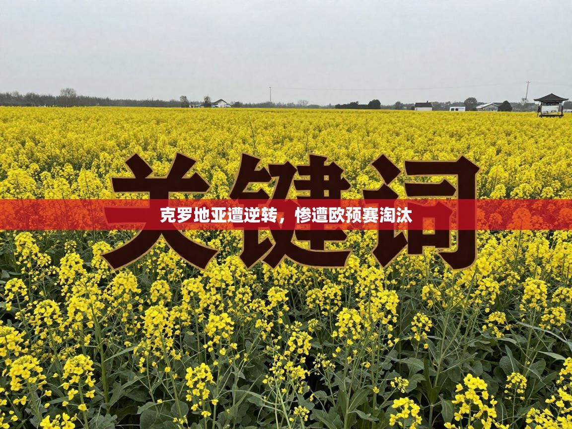 克罗地亚遭逆转,惨遭欧预赛淘汰 第2张